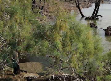 ethiopia/danakil-depression/attraction/lake-afdera-agogi-bada-or