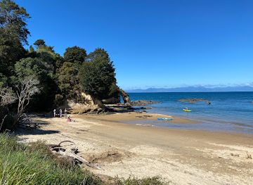 new-zealand/tasman/attraction/lewes-cove