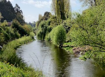 chile/osorno/attraction/cuarto-centenario-park