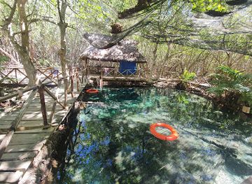 mexico/yucatan-peninsula/attraction/manglar-de-san-crisanto