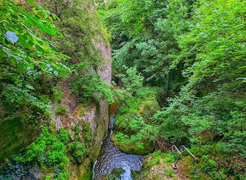 georgia/pshavi/attraction/eagle-gorge-natural-monument