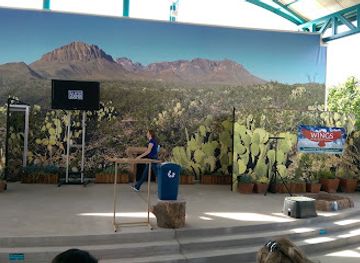 texas/el-paso/kern-place/attraction/el-paso-zoo-and-botanical-gardens