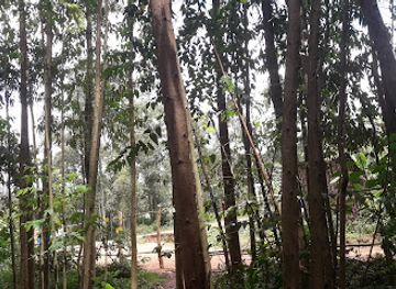 ethiopia/kaffa/attraction/park