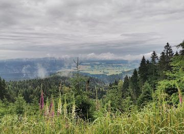 czechia/eagle-mountains/attraction/jeleni-lazen