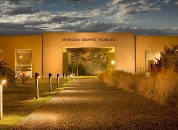 argentina/mendoza/attraction/bodega-dante-robino