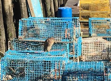 maine/greater-portland-and-casco-bay/attraction/beaten-path-tours