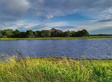 sri-lanka/polonnaruwa/attraction/habarana-lake