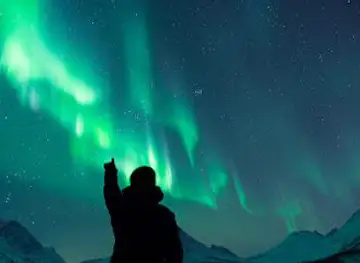 Best Arctic