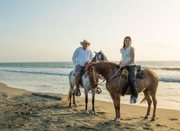 colombia/cartagena/attraction/horses-cartagena-tours