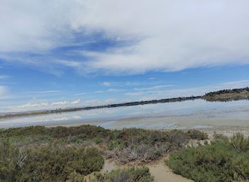 cyprus/larnaca-salt-lake/attraction/bench-flaming-view