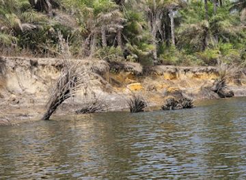 senegal/casamance/attraction/casamance-enchantee