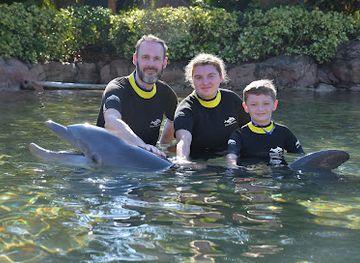 florida/southeast-florida/attraction/dolphin-lagoon