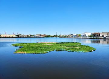 argentina/buenos-aires/la-boca/attraction/la-flor-de-la-vida