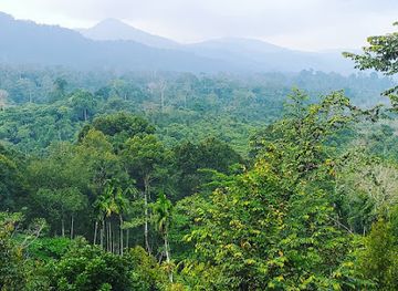 indonesia/bukit-lawang/attraction/kuta-langis-ecolodge