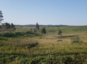 wisconsin/eastern-ridges-and-lowlands/attraction/moquah-barrens-state-natural-area