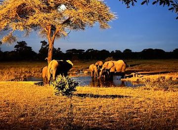 namibia/windhoek/attraction/motema-tours-and-safaris-namibia