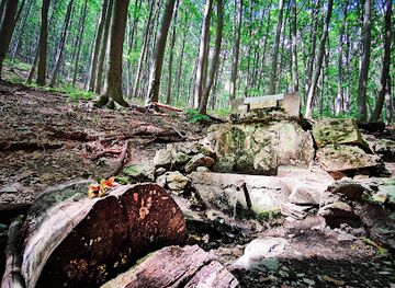 hungary/cserehat/attraction/vesszos-forras