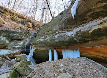 iowa/pikes-peak-state-park/attraction/wyalusing-hardwood-forest