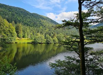 france/vosges-mountains/attraction/cascade-de-retournemer-notre-dame-des-neiges