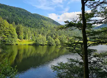 Cascade de Retournemer - Notre Dame des Neiges