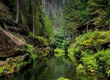 germany/dresden/attraction/kamenice-gorge