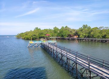 indonesia/pulau-derawan/attraction/wisata-mangrove-tanjung-batu-derawan