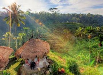 indonesia/bali/attraction/jl-pakudui