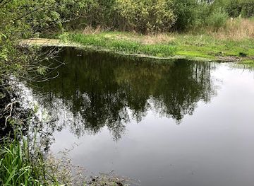 ukraine/prypiat-marshes/attraction/pripyatsky-national-park-belarus