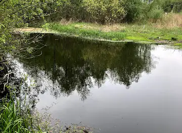 Pripyatsky National Park, Belarus