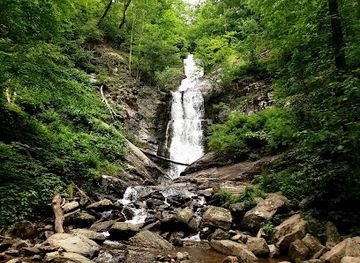 north-carolina/pisgah-national-forest/attraction/toms-creek-falls-trail