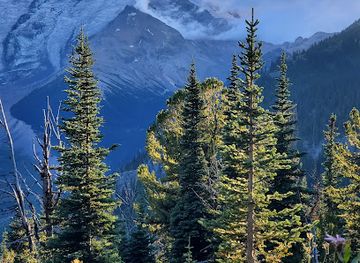 Mount Rainier National Park