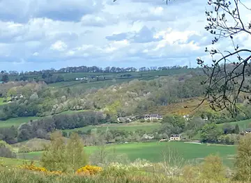 Clyde Valley Woodlands National Nature Reserve (Cartland Crags)