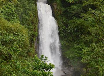 dominica/layou-river/attraction/nature-isle-explorers-tours