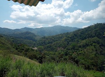 honduras/puerto-cortes/attraction/los-mayas