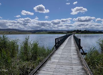 australia/tasmania/attraction/tamar-island-wetlands-centre