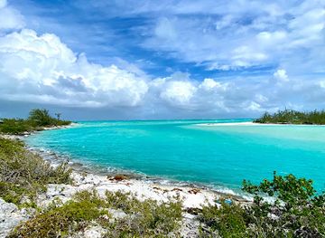 turks-and-caicos-islands/malcolm-s-road-beach/attraction/wild-cow-run-beach