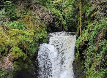 france/strasbourg/attraction/geroldsauer-wasserfall