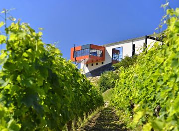 france/aquitaine/attraction/chateau-croizille