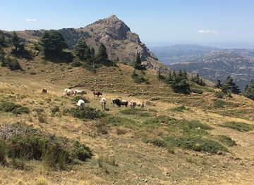 algeria/hodna-mountains/attraction/azrou-n-tohor