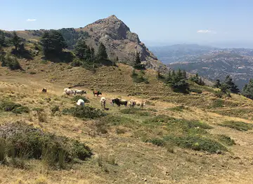 Azrou-n-Tohor