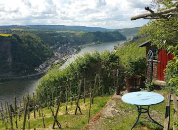 germany/rhine-valley/attraction/loreleyweg-weinberg