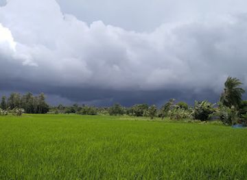 bangladesh/sundarbans-national-park/attraction/sundarbon-introduction