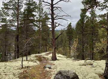norway/rondane-national-park/attraction/storfurua