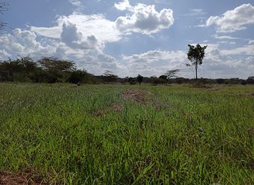 kenya/loita-plains/attraction/uhuru-gardens