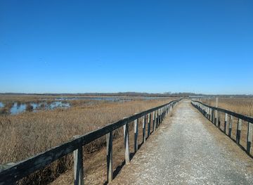new-jersey/delaware-bayshore/attraction/bayshore-center-at-bivalve