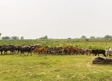 nepal/province-no-2/attraction/koshi-tappu-wildlife-reserve