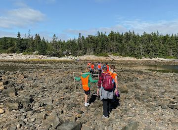 maine/washington-county/attraction/schoodic-institute