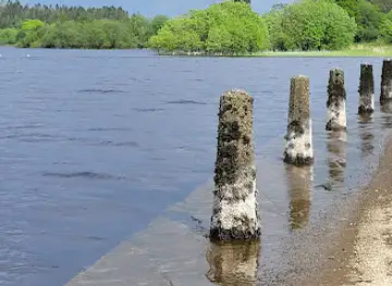 Dring Lake Gowna