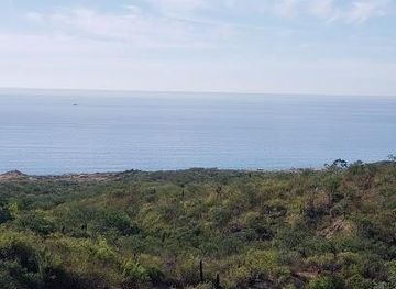 mexico/cabo-san-lucas/attraction/playa-el-tule