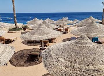 egypt/sharm-el-sheikh/attraction/shark-bay